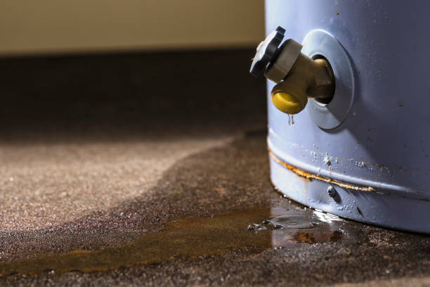 Best Mold removal after water damage  in Lake Brownwood, TX