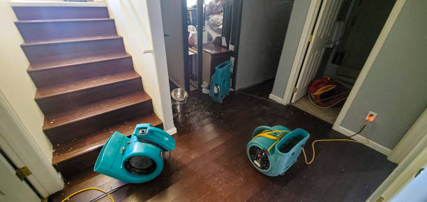 Best Sewage cleanup and water damage restoration  in Lake Brownwood, TX