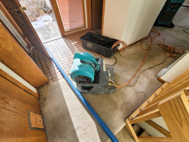 Best Carpet water damage restoration  in Lake Brownwood, TX