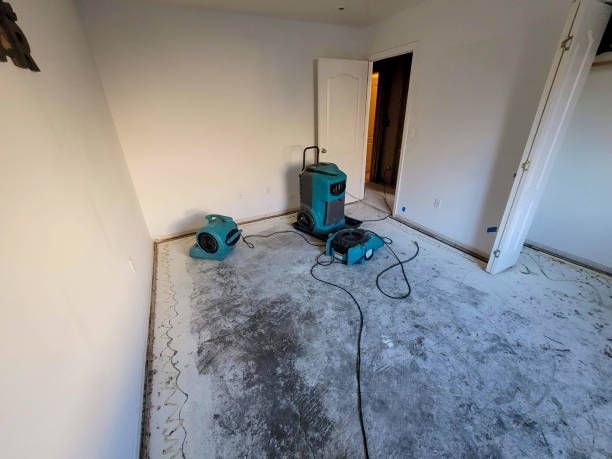 Best Basement water damage restoration  in Lake Brownwood, TX