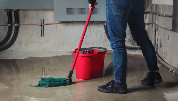 Best Flood damage cleanup  in Lake Brownwood, TX
