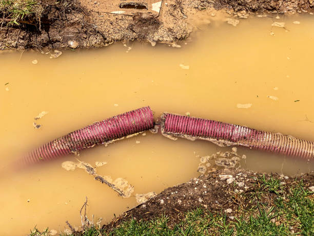 Best Commercial water damage restoration  in Lake Brownwood, TX
